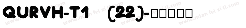 QURVH-T1 (22)字体转换